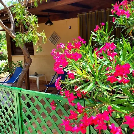 Camelia All'usciere *