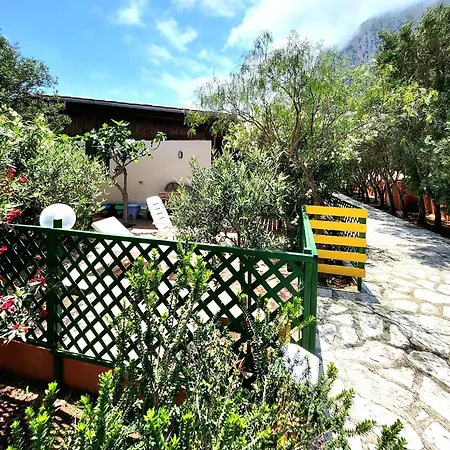 Camelia All'usciere * San Vito Lo Capo
